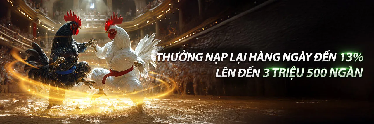 Đá Gà Việt Nam Trực Tuyến